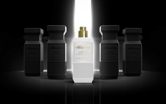 Es handelt sich um ein Bild der neuen Unisex Kollektion von Chogan